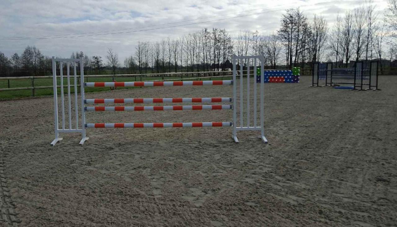obstacle équestre blanc