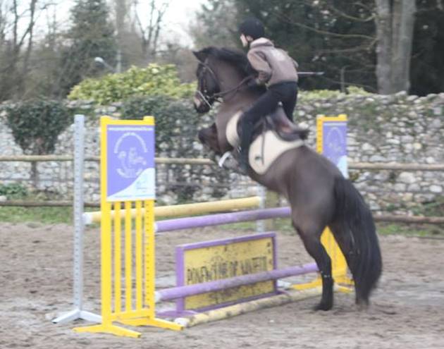 Poney club Nanteuil 3 - Copie