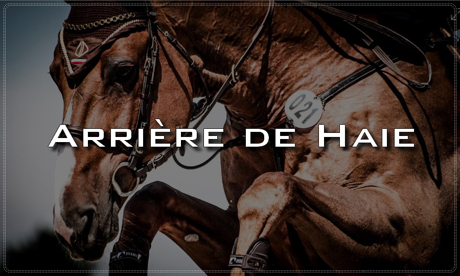 Ar de haie